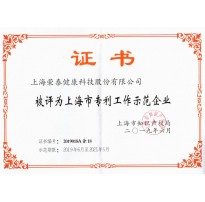 上海市专利工作示范企业