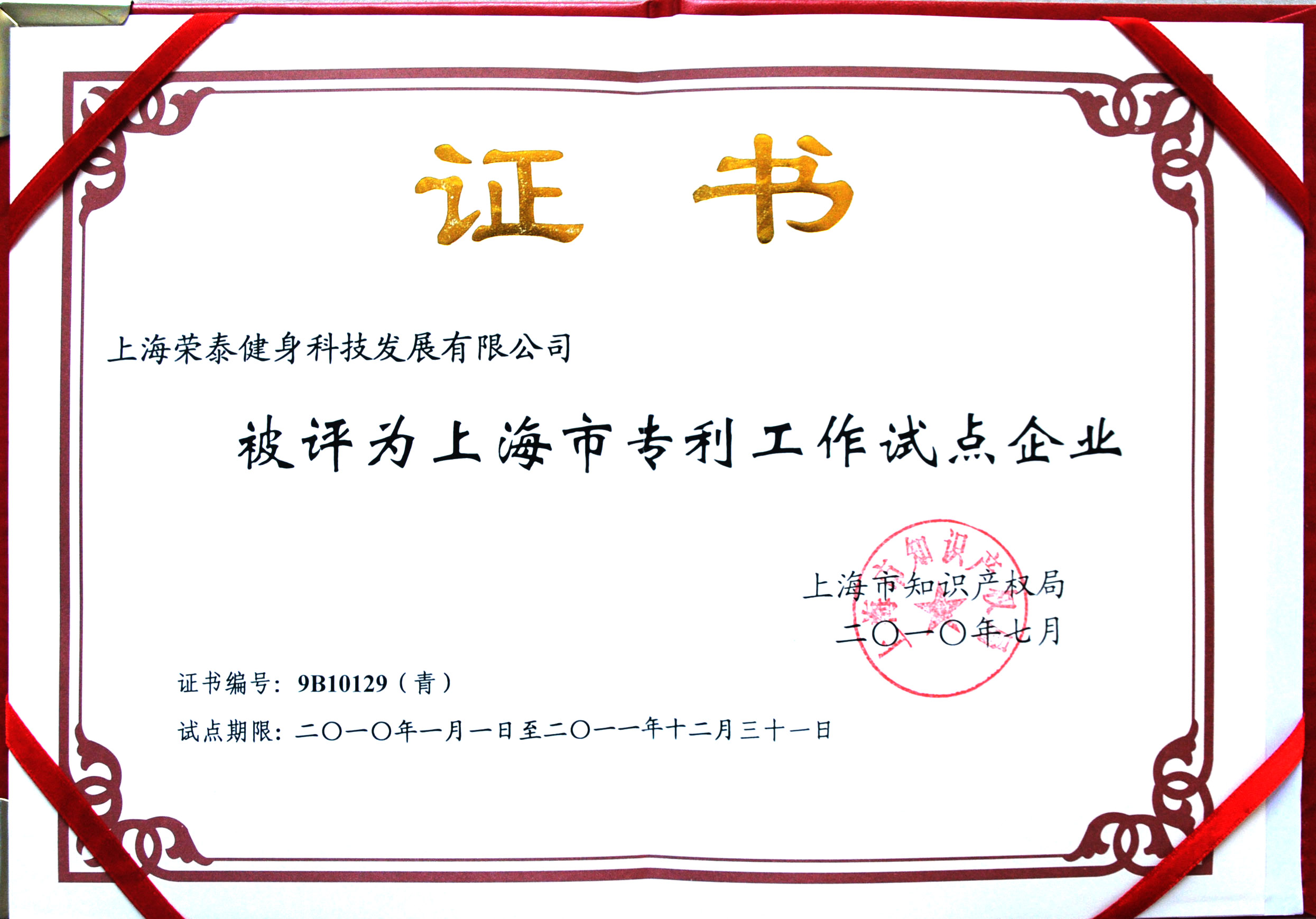 2010专利工作试点企业